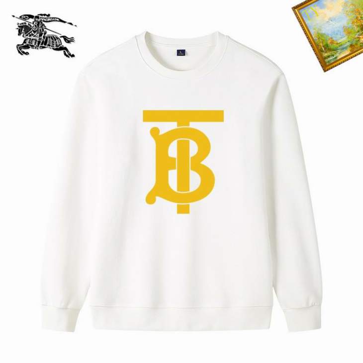 Picture of Burberry Sweatshirt _SKUBurberryM-3XL25tn11830731